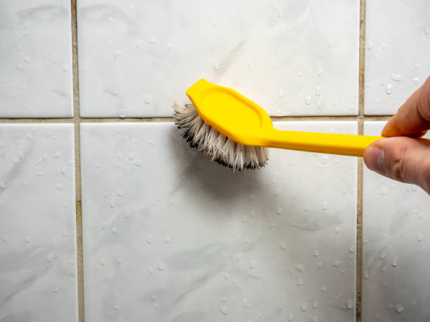 Best Attic Mold Removal  in Lancaster, OH
