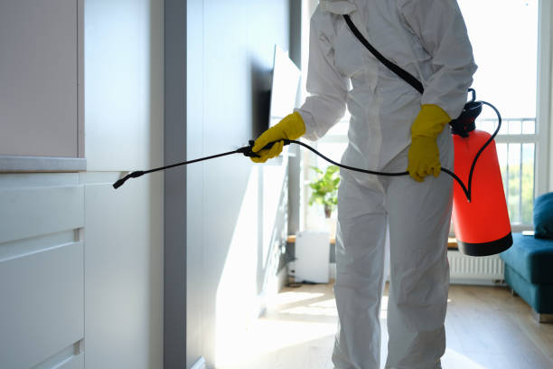 Best Emergency Mold Removal  in Lancaster, OH