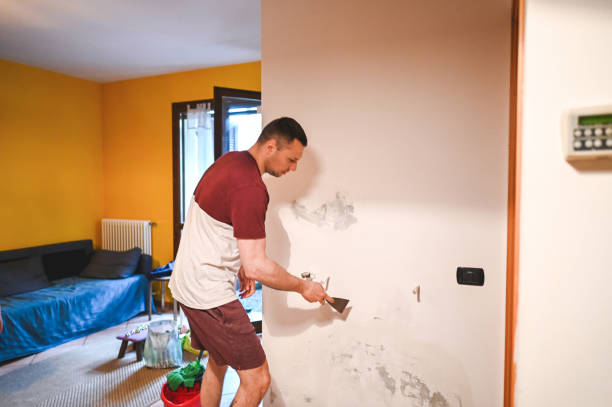 Best Affordable Mold Removal  in Lancaster, OH